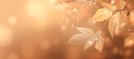 Autumn leaves in golden light. Nature photographyの写真素材