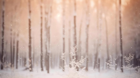 Snowy forest scene, soft light, winter wonderlandの写真素材