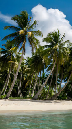 Stunning view of palm trees bordering a white sand beach and tranquil ocean. Tropical paradise.の写真素材