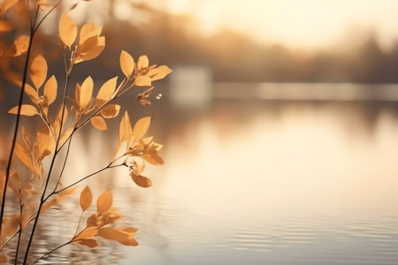 Golden leaves near calm lake at sunset.の写真素材