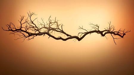 A solitary, leafless branch stands out against a warm sunset, creating a peaceful and serene scene.の写真素材