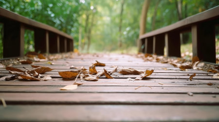 Wooden bridge covered in autumn leaves, serene forest setting.の写真素材
