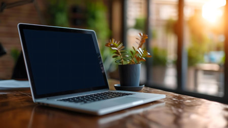 Laptop on a wooden desk with a plant, sunlight through windowの写真素材