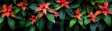 Close-up of red and green tropical leaves creating a vibrant and lush garden scene.の写真素材