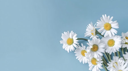 A bunch of white daisies with yellow centers on a light blue background. Peaceful and delicate.