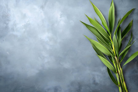 Close-up of vibrant green bamboo leaves against a textured gray backdrop. A serene and calming image.の写真素材
