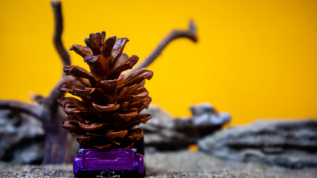 Pine cone and car toy on wooden background. Selective focus.の写真素材