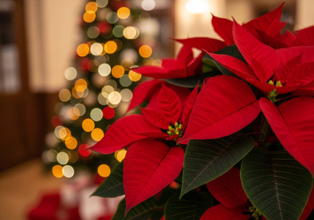 Christmas tree with poinsettia on blurred background, closeupの写真素材