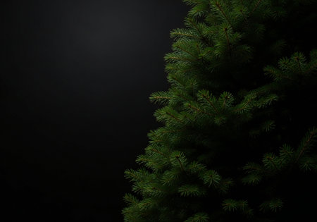 Christmas tree on a black background with copy space for your text.の写真素材