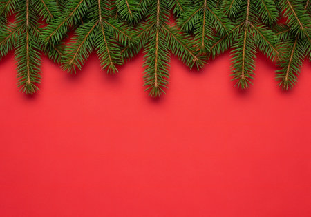 Fir tree branches on red background. Top view with copy spaceの写真素材