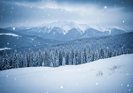 Beautiful winter landscape with snowy fir trees. Carpathian, Ukraine, Europe.の写真素材