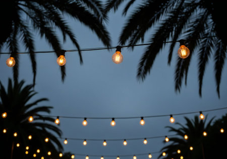Hanging light bulbs in the garden with palm trees on the backgroundの写真素材