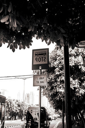 Black and white photo of street signs under a tree in an urban setting