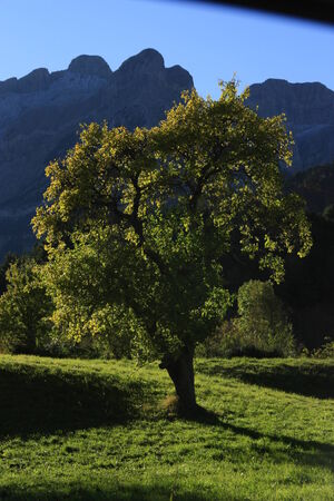 Mountains, Tramacastilla tena. Pyreneesの写真素材