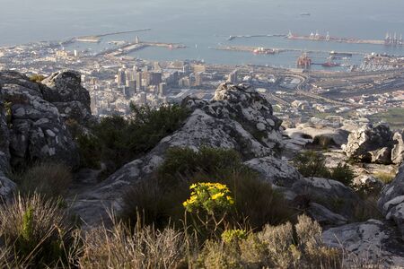 Aerial view of Cape Town from Table Mountain.の写真素材
