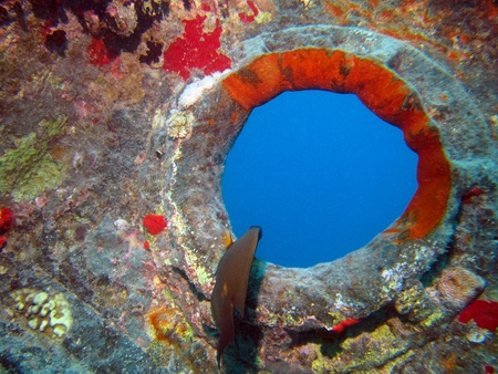 Shipwreck, Red Sea