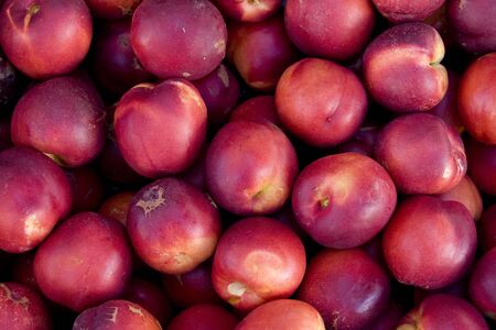Nectarinesの写真素材