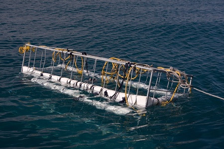 Shark cageの写真素材