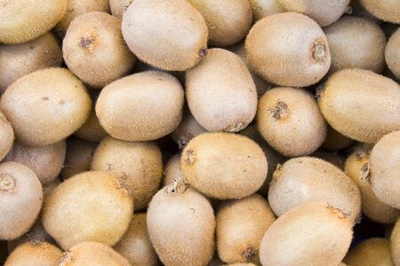 Kiwisの写真素材