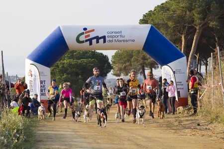 People participating in the Canicross Entrevinyes race, on February 9, 2020, in Alella, Barcelona, Spain.のeditorial素材