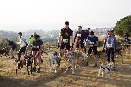People participating in the Canicross Entrevinyes race, on February 9, 2020, in Alella, Barcelona, Spain.のeditorial素材