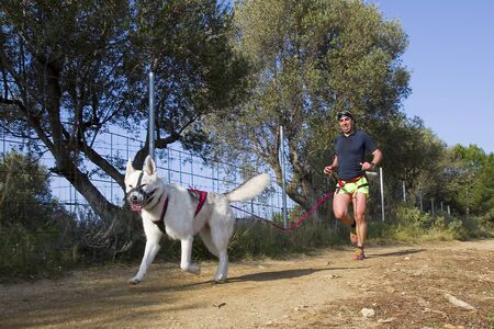 People participating in the Canicross Entrevinyes race, on February 9, 2020, in Alella, Barcelona, Spain.のeditorial素材