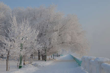 Winter landscape. The embankment is in fog and frost.の写真素材