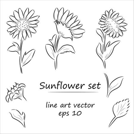 Black and white line art illustration of sunflower on a white background.のイラスト素材