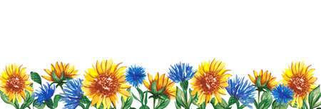 Background with watercolor sunflowers and cornflowers in loose style. For your design postcads. posters and banners.の写真素材