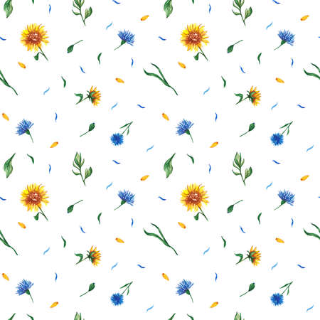 Seamless pattern with watercolor sunflowers and cornflowers in loose style. For your design postcads, posters and banners.の写真素材