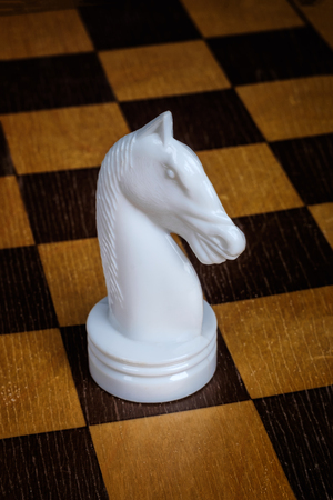 Isolated white knight on chess boardの写真素材