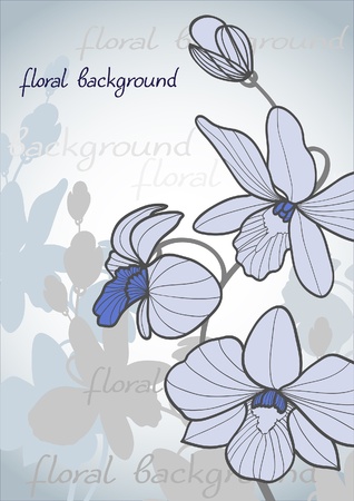 Summer vector with bloom orchid on a blue backgroundのイラスト素材