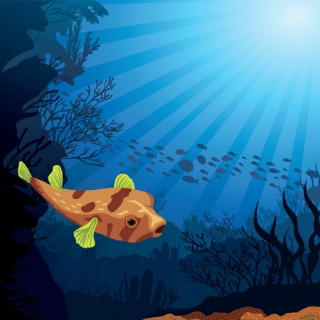 Colored coral reef with puffer and silhouette of fish on blue sea backgroundのイラスト素材