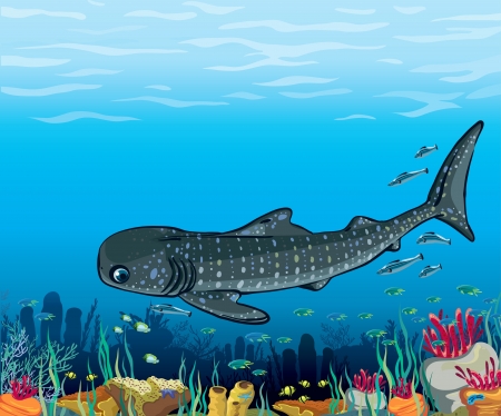 Cartoon whale shark swims over a coral reef in the blue sea  Underwater life のイラスト素材