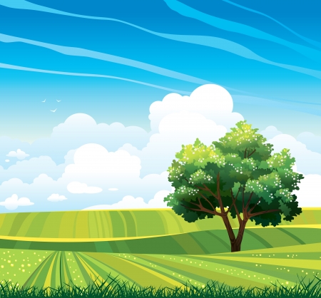 Blossom tree and green meadow on a blue sky background with clouds のイラスト素材