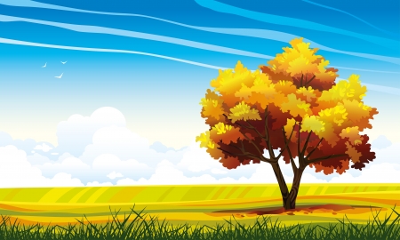 Yellow tree and green grass on a blue sky background with clouds autumn landscape のイラスト素材