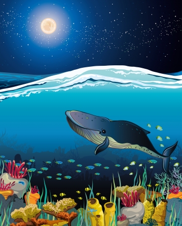 Nature seascape with coral reef with floating whale and night starry sky over surfaceのイラスト素材