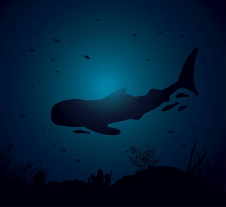 Silhouette of whale shark and coral reef in a blue sea のイラスト素材