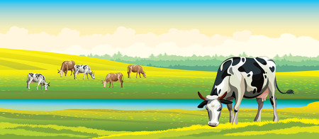 Herd of cows in green field on a cloudy sky. Vector rural landscape.のイラスト素材
