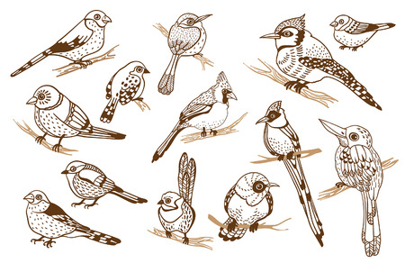 Set of graphic isolated birds on a white background.のイラスト素材