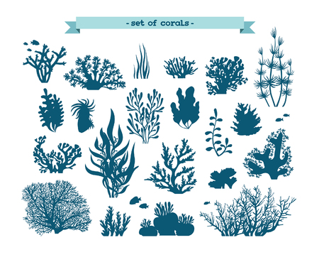 Underwater set - silhouette of corals and algaes on a white background.のイラスト素材