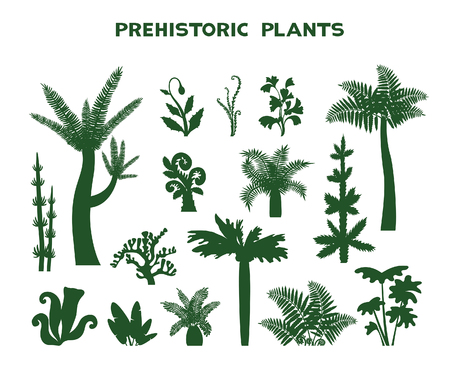 Set with silhouette of prehistoric plnts on a white background. Vector illustration. Collection of extinct plants.のイラスト素材