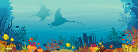 Silhouette of two mantas, coral reef and school of fish on a blue sea background. Underwater marine life. Vector illustration.のイラスト素材
