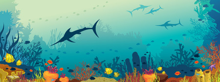 Vector illustration with coral reef, school of fish and silhouette of marlin fish on a blue sea background.のイラスト素材
