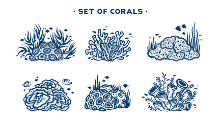 Underwater set coral reef with fishes and seaweeds on a white background vector illustration.のイラスト素材