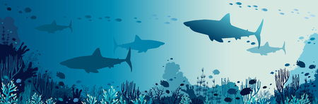 Silhouette of big sharks, coral reef and tropical fishes in a blue sea background. Vector panoramic illustration. Underwater nature and marine wildlife.のイラスト素材