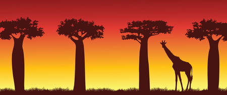 Vector african landscape with silhouette of giraffe and baobabs on a sunset sky. Animal wildlife illustration.のイラスト素材