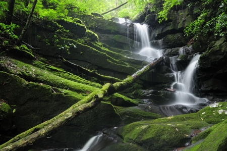 Tropical waterfall at the rain forestの写真素材