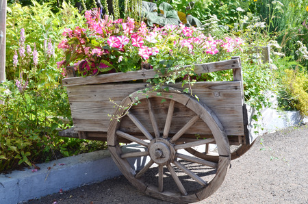Old wooden cart with flowersの写真素材