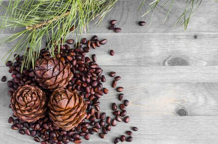 pine nuts and cones on black and white backgroundの写真素材